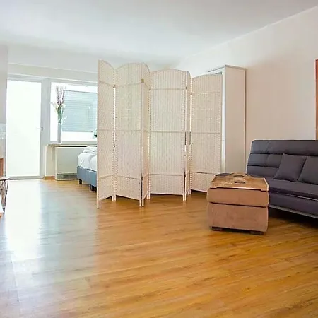 Moderne In Nahe Skigebiet Lejlighed *