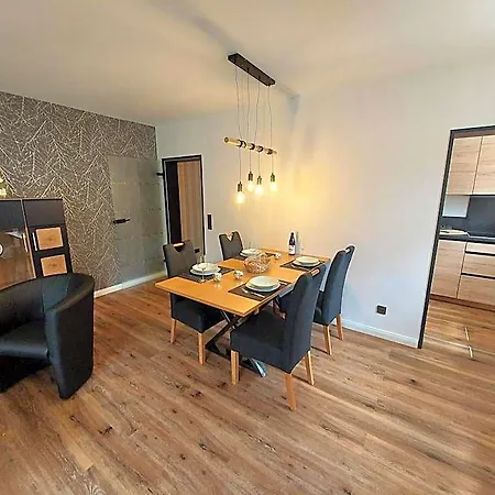 Moderne In Nahe Skigebiet Lejlighed *
