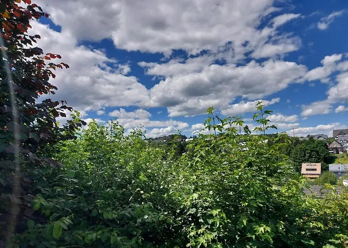 Apartmán Nahe Skigebiet *