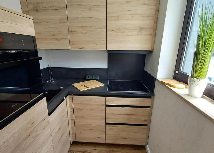 Nahe Skigebiet Apartment *